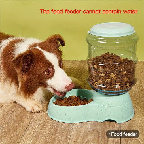 Large Capacity Transparent Pet Feeder/Water Fountain, Water/Food